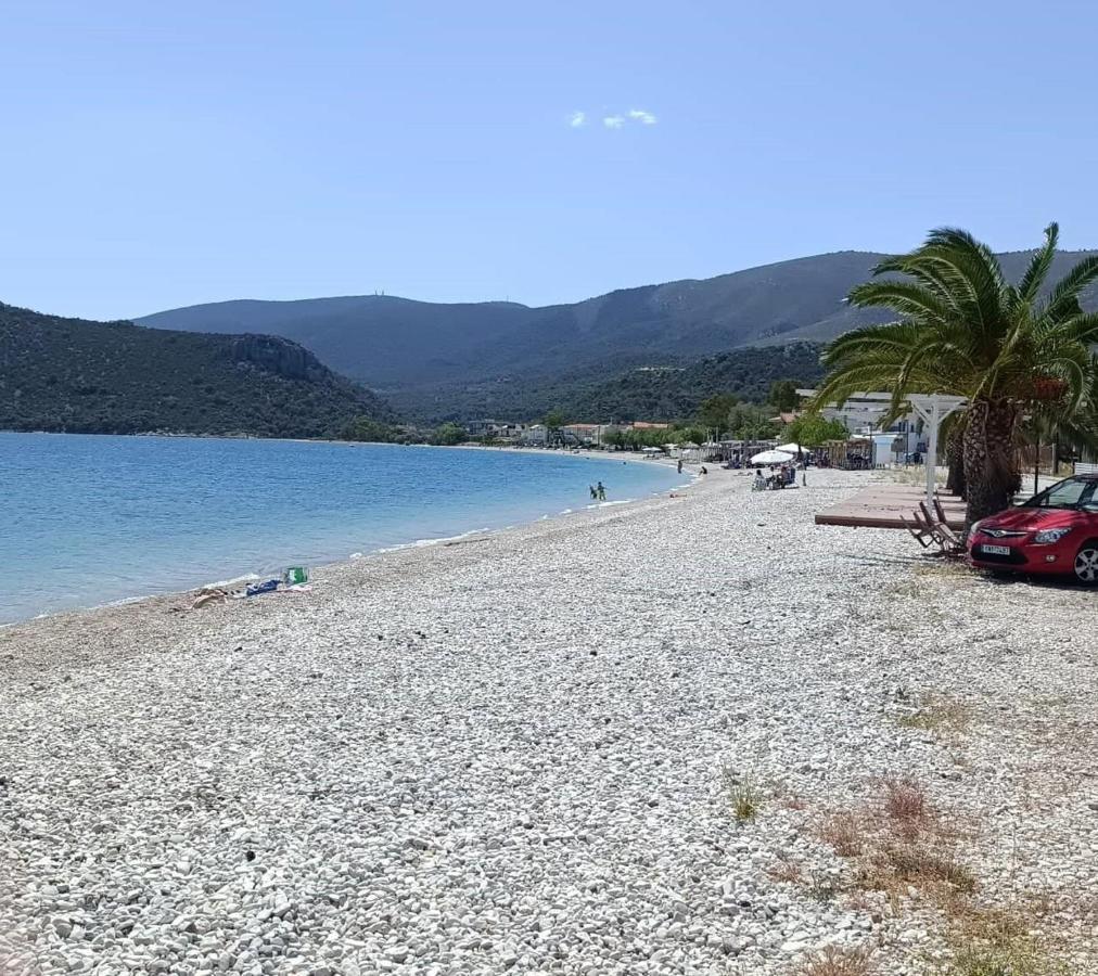 Апартаменты Alexadra'S House Κάτω Αλμυρή Экстерьер фото